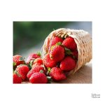 Art mural fraises, décoration murale pour cuisine
