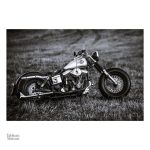 Tableau artistique sur le thème de la moto Harley Davidson