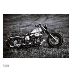 Tableau artistique sur le thème de la moto Harley Davidson
