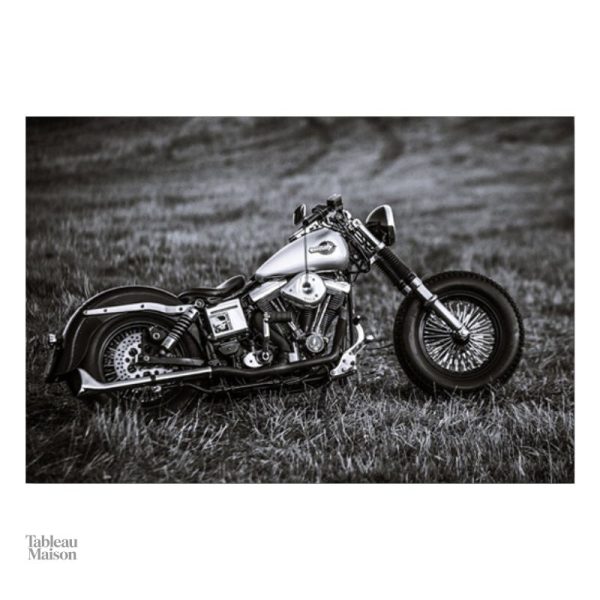 Tableau artistique sur le thème de la moto Harley Davidson