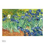 Représentation artistique des iris par Van Gogh, œuvre colorée
