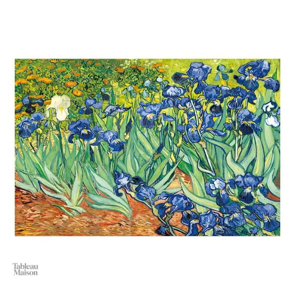 Représentation artistique des iris par Van Gogh, œuvre colorée