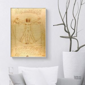 Reproduction de l'homme de Vitruve de Léonard de Vinci