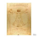 Interprétation du célèbre dessin de Léonard de Vinci