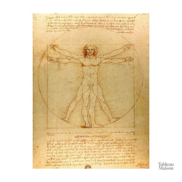 Interprétation du célèbre dessin de Léonard de Vinci