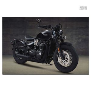 Illustration Triumph pour passionnés de motos