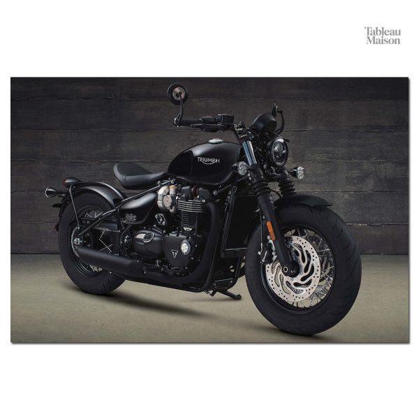 Illustration Triumph pour passionnés de motos