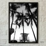 Photographie artistique de palmiers en noir et blanc