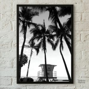 Photographie artistique de palmiers en noir et blanc