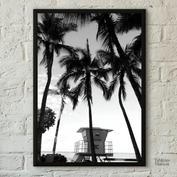 Photographie artistique de palmiers en noir et blanc