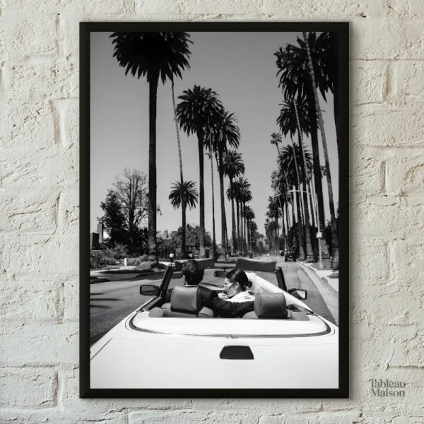 Tableau noir et blanc de palmiers à Los Angeles