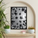 Tableau noir et blanc de palmiers en contre-plongée