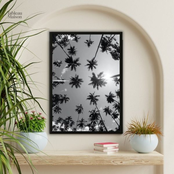 Tableau noir et blanc de palmiers en contre-plongée