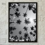 Photographie en noir et blanc de palmiers majestueux