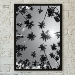 Photographie en noir et blanc de palmiers majestueux