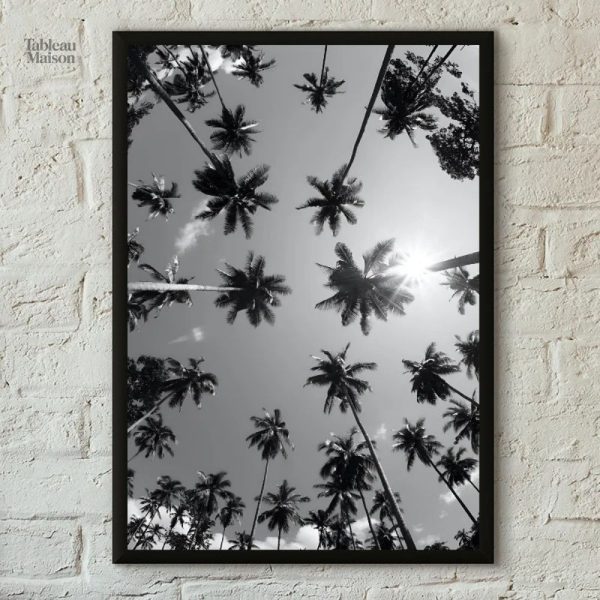 Photographie en noir et blanc de palmiers majestueux