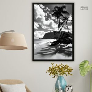 Tableau noir et blanc plage tropicale en photographie