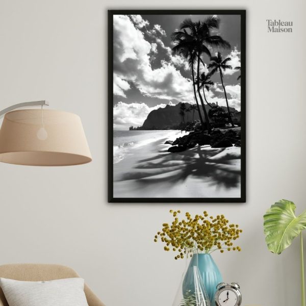 Tableau noir et blanc plage tropicale en photographie
