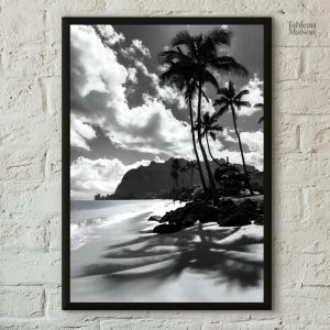 Photographie artistique noir et blanc de plage exotique