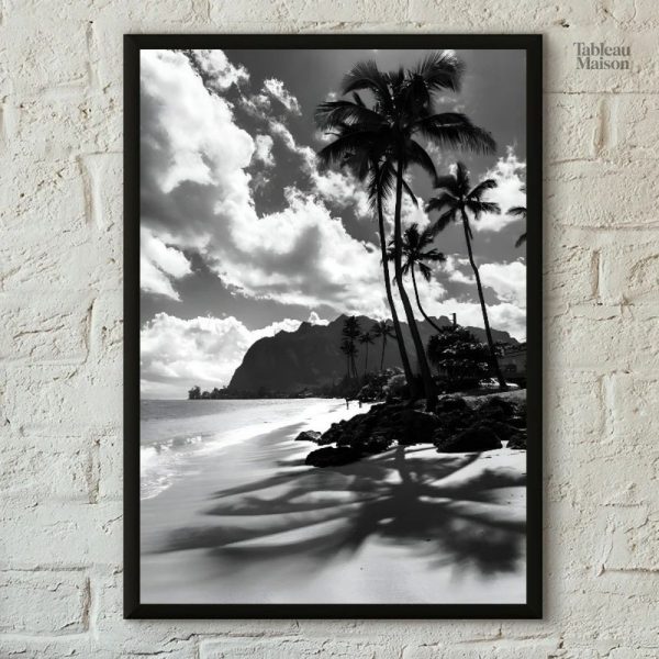 Photographie artistique noir et blanc de plage exotique