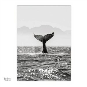 Illustration élégante d'une queue de baleine pour la décoration intérieure