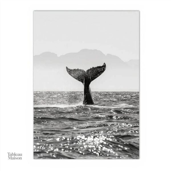 Illustration élégante d'une queue de baleine pour la décoration intérieure