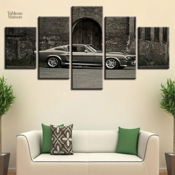 Tableau loisir Shelby GT 500 CR