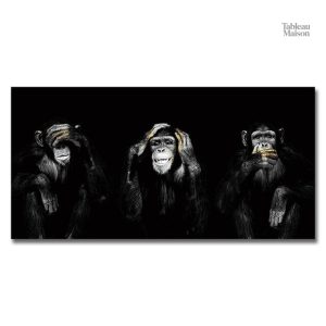 Art mural singe symbolisant la sagesse