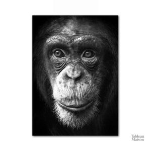 Art mural singe en noir et blanc pour décoration intérieure