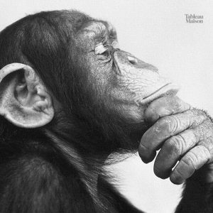Singe pensif sur toile décorative pour intérieur