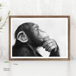 Tableau illustrant un singe en pleine réflexion