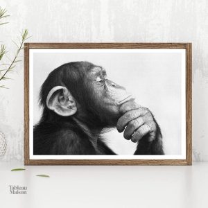Tableau illustrant un singe en pleine réflexion