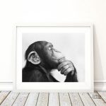 Art mural singe penseur pour une ambiance unique