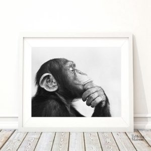 Art mural singe penseur pour une ambiance unique