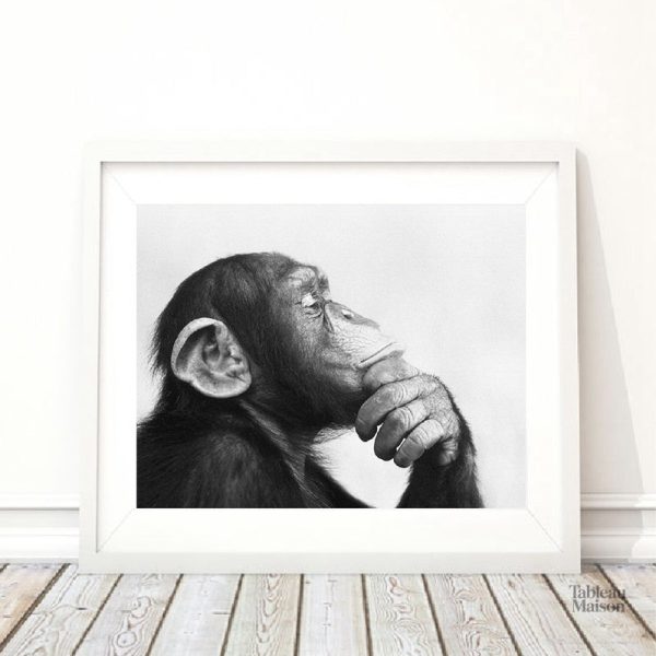 Art mural singe penseur pour une ambiance unique