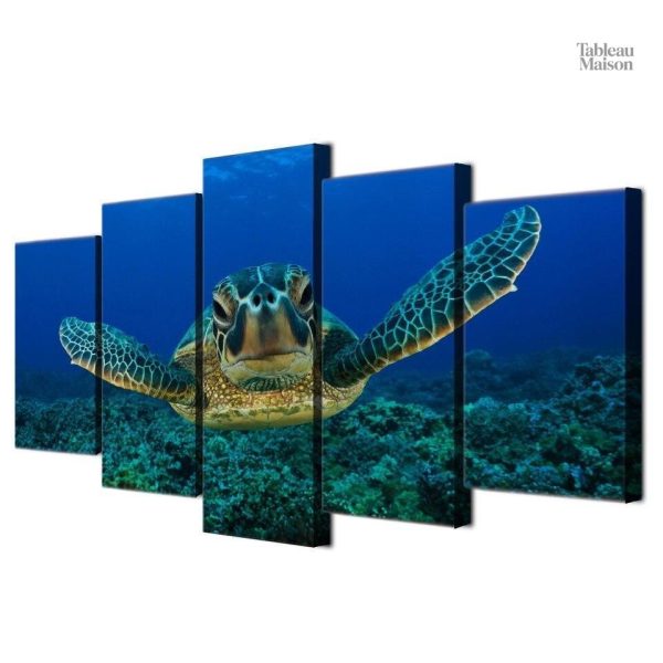 Tableau décoratif de tortue en style contemporain
