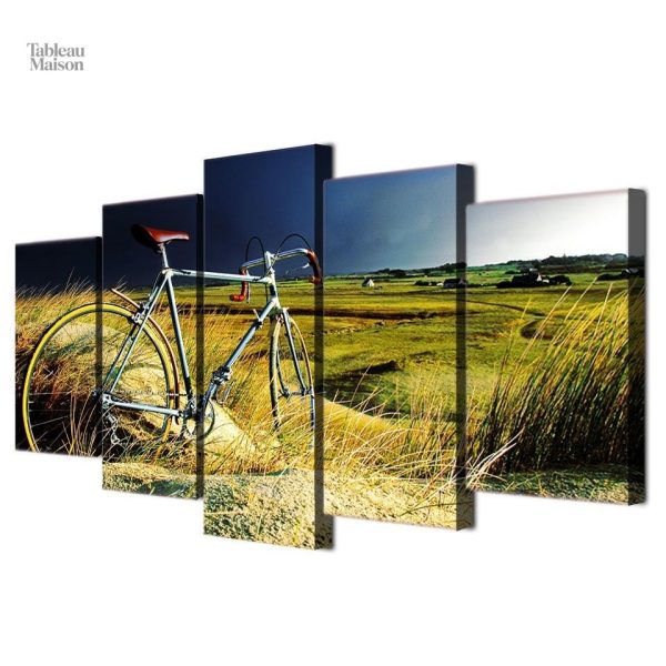 Tableau moderne de vélo dans la nature sauvage