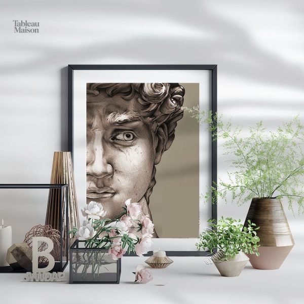 Tableau visage statue David Michel-Ange