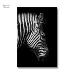 Illustration de zèbre en noir et blanc pour décoration