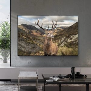 Toile décorative Cerf