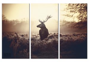 Art mural cerf en triptyque, design naturel et élégant