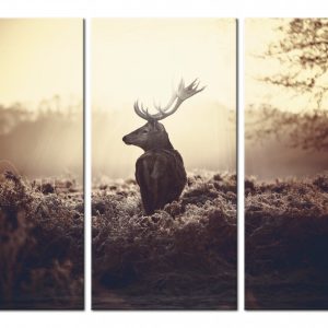 Art mural cerf en triptyque, design naturel et élégant