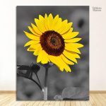 Art mural moderne en noir et blanc de tournesols