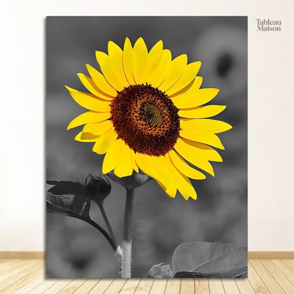 Art mural moderne en noir et blanc de tournesols
