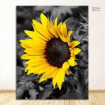 Décoration intérieure avec des tournesols en nuances de gris
